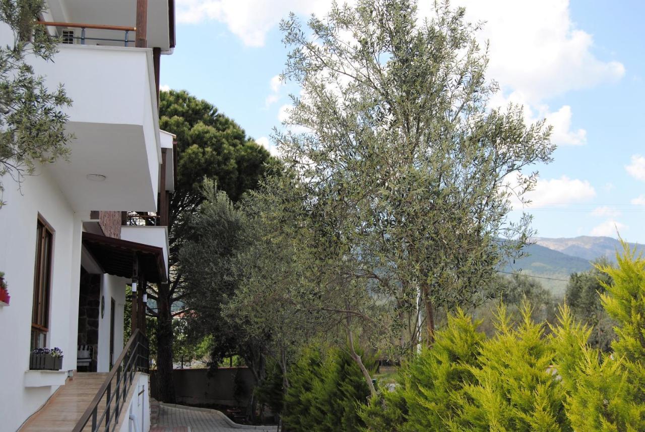 Beyaz Konak Guere Luaran gambar
